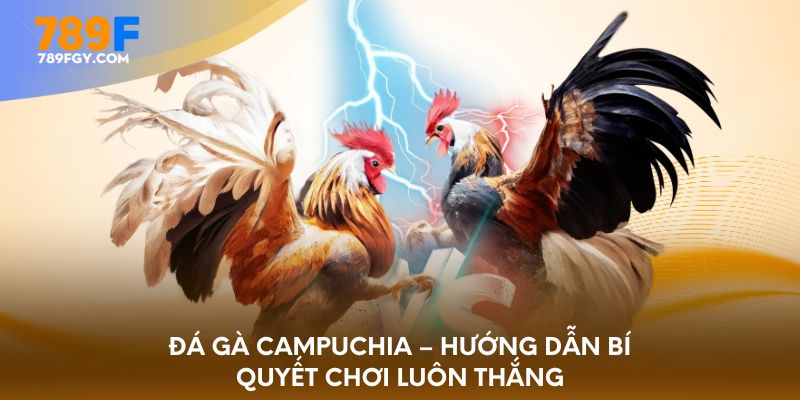 da-ga-campuchia-huong-dan-bi-quyet-choi-luon-thang