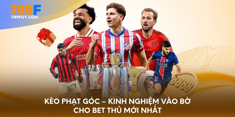 keo-phat-goc-kinh-nghiem-vao-bo-cho-bet-thu-moi-nhat